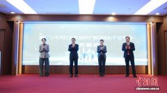 2025年浙江法院审结知识产